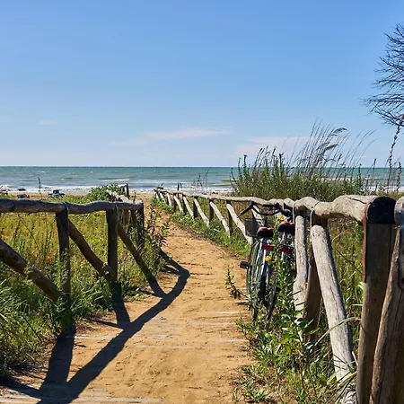 Beautiful Just Few Steps From The