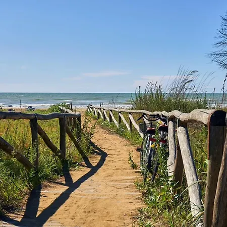 Beautiful Just Few Steps From The